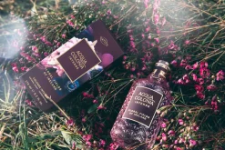 Acqua Colonia