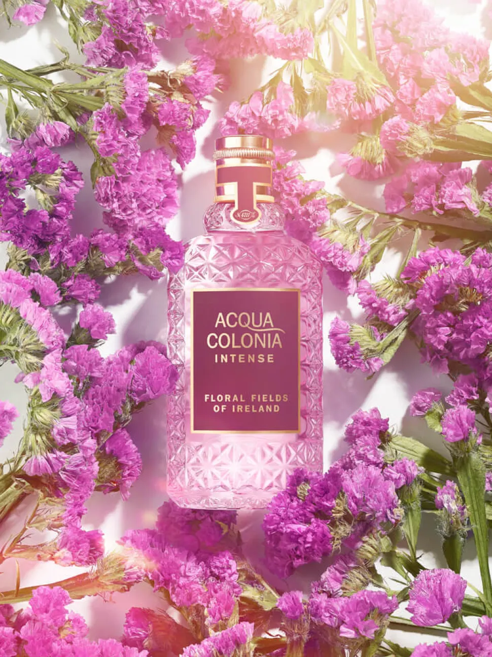 Acqua Colonia