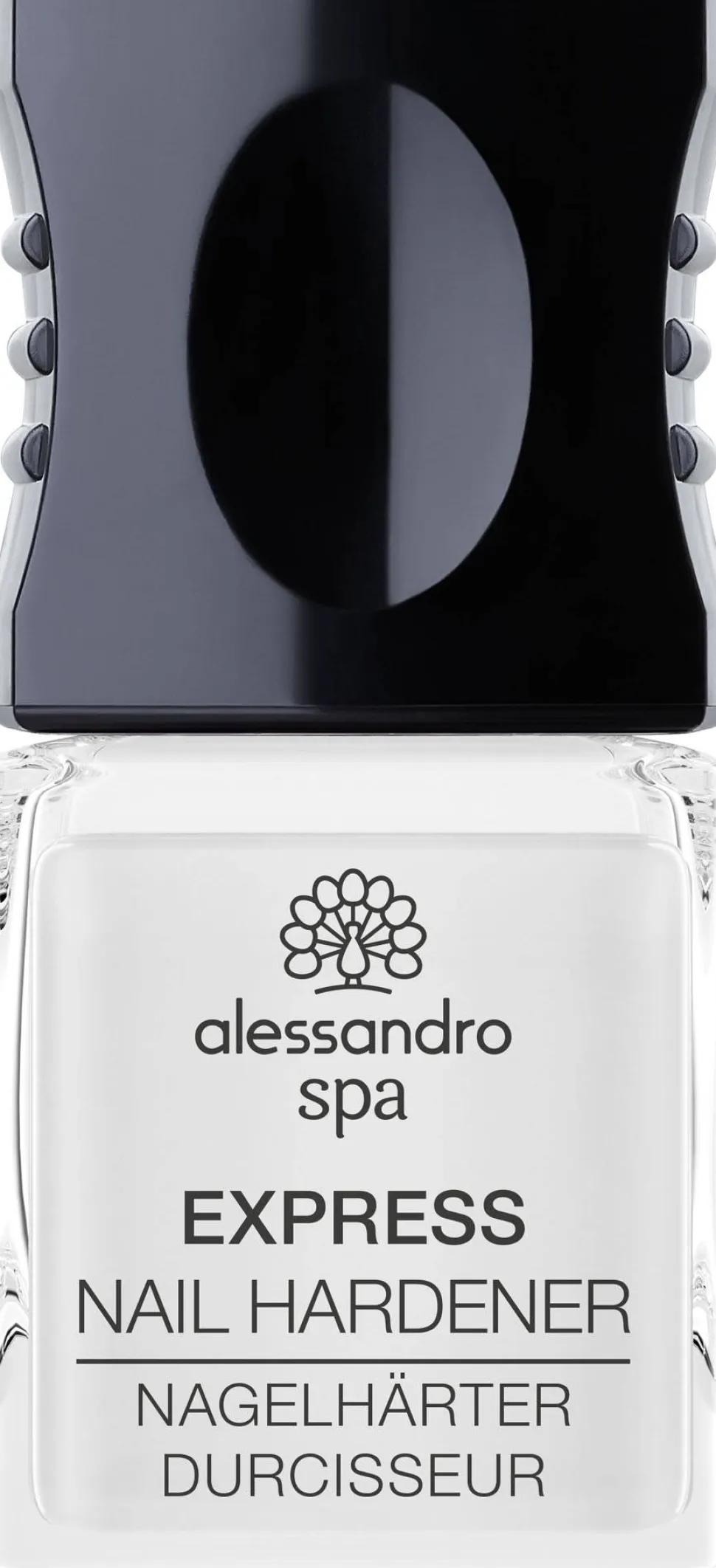 Alessandro