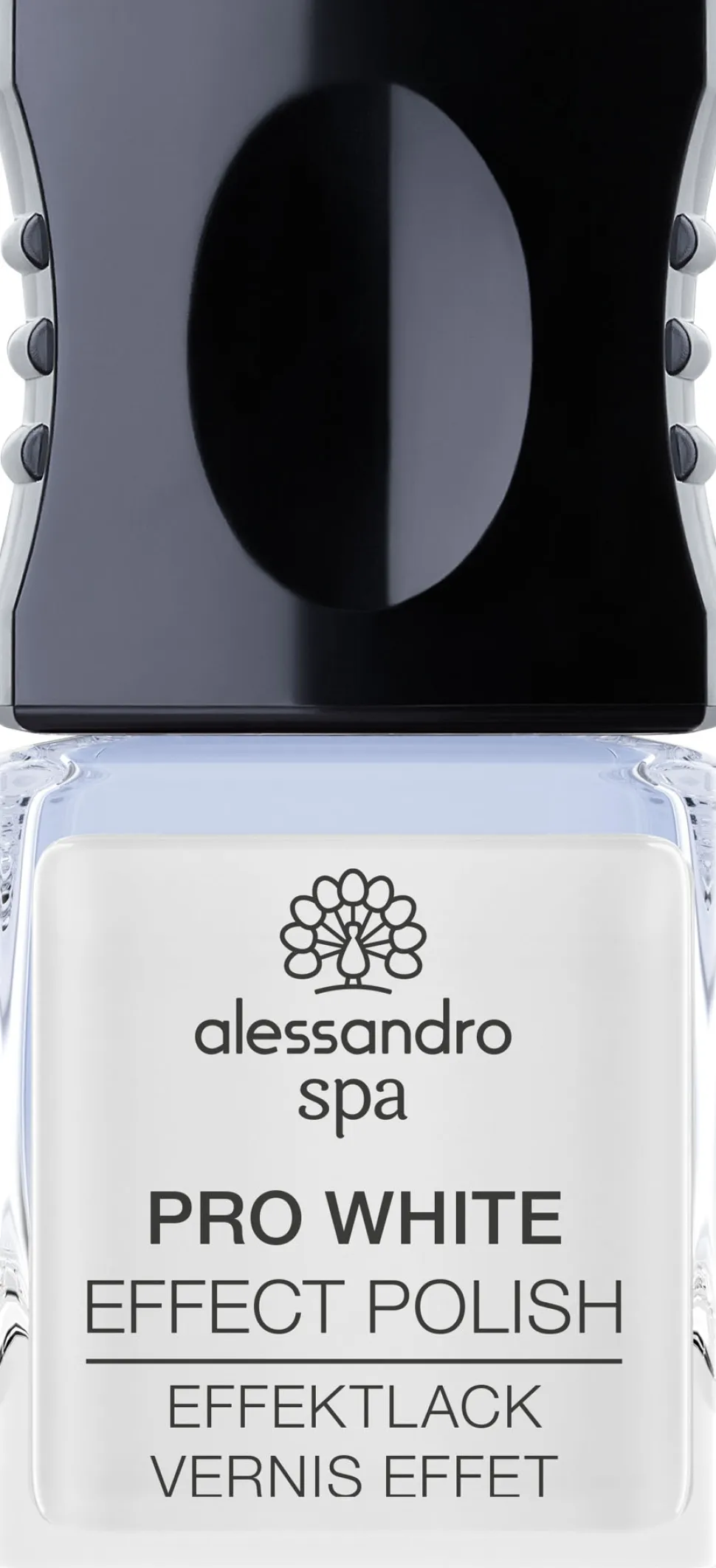 Alessandro