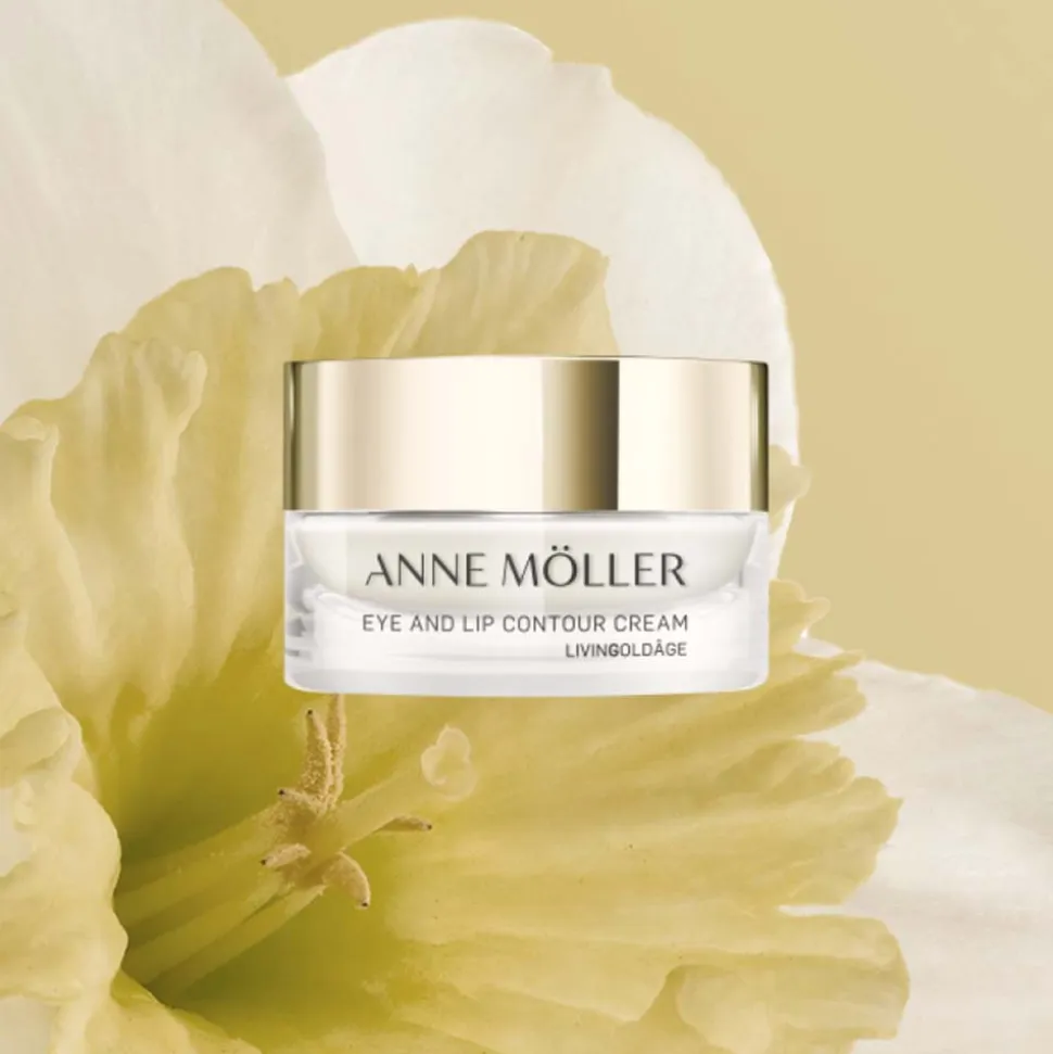 Anne Möller