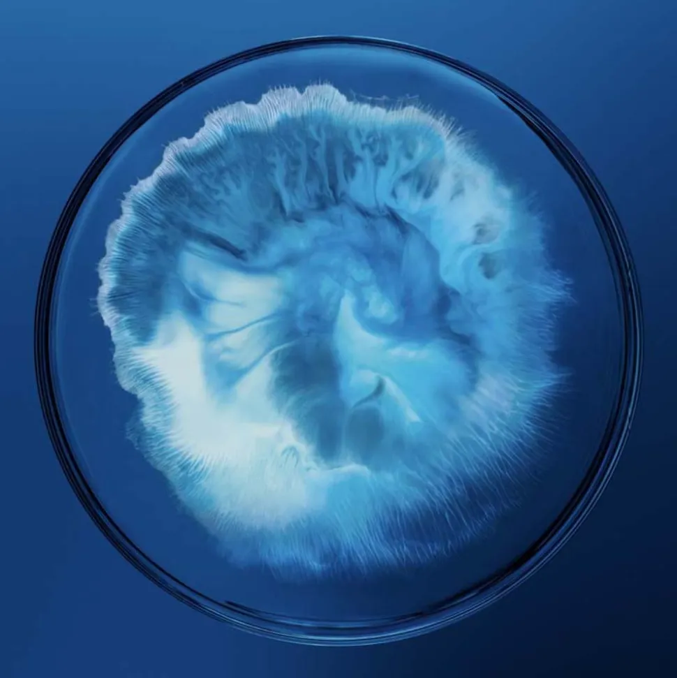 Biotherm