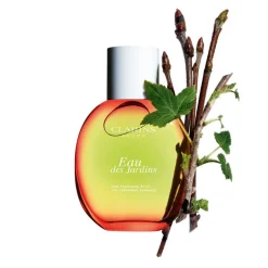 CLARINS