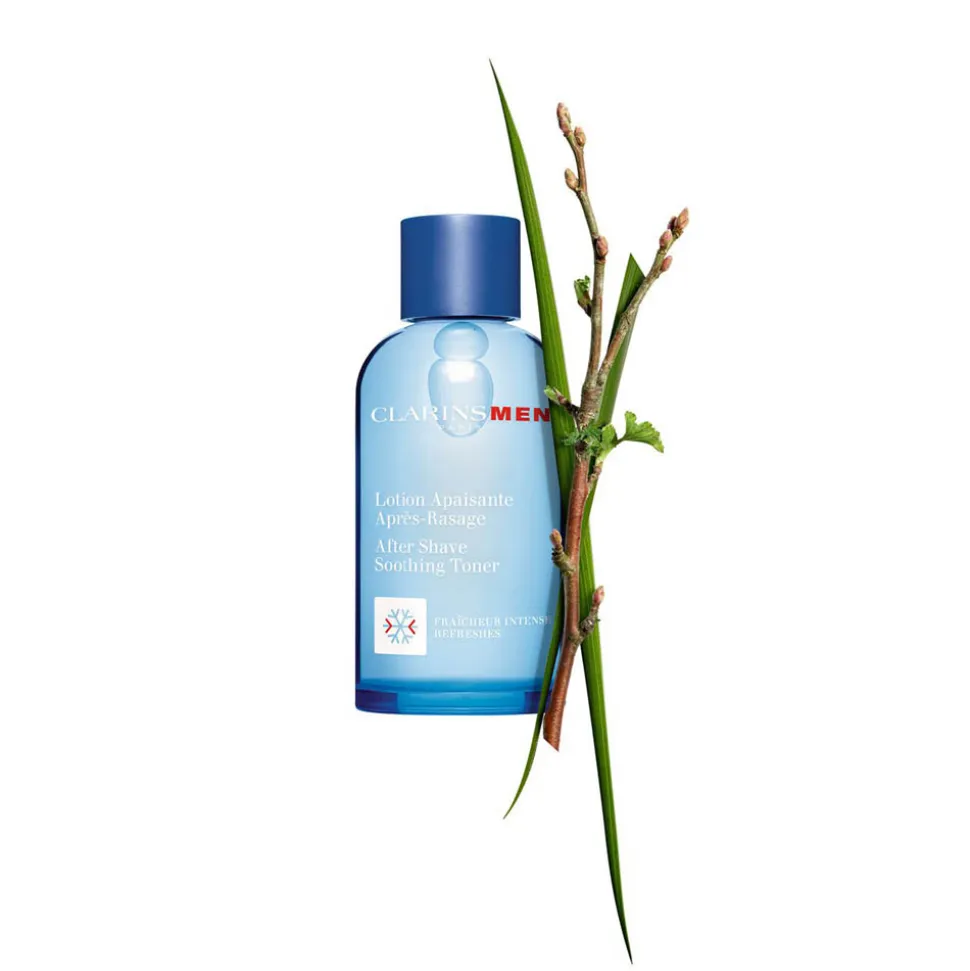 CLARINS