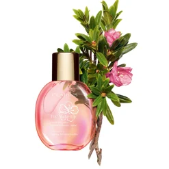 CLARINS