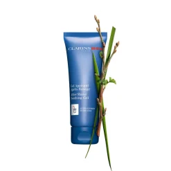 CLARINS