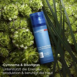 CLARINS