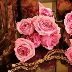 DOLCE&GABBANA