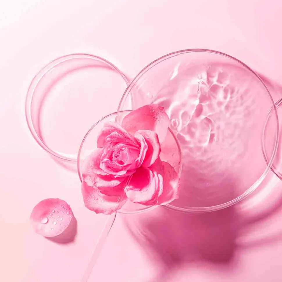 Foreo