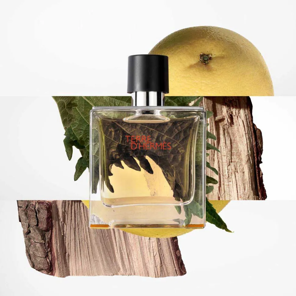 HERMÈS