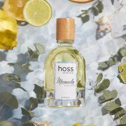 Hoss Intropia