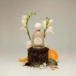 Hoss Intropia