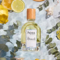 Hoss Intropia