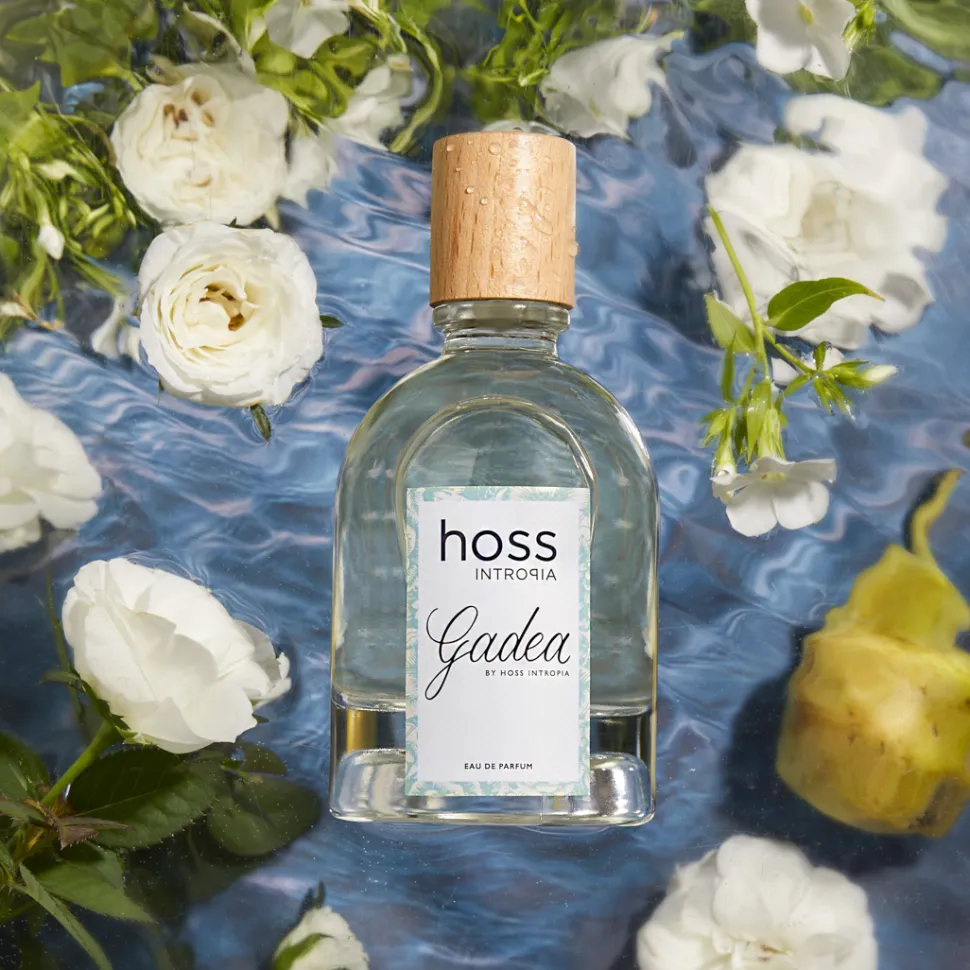 Hoss Intropia