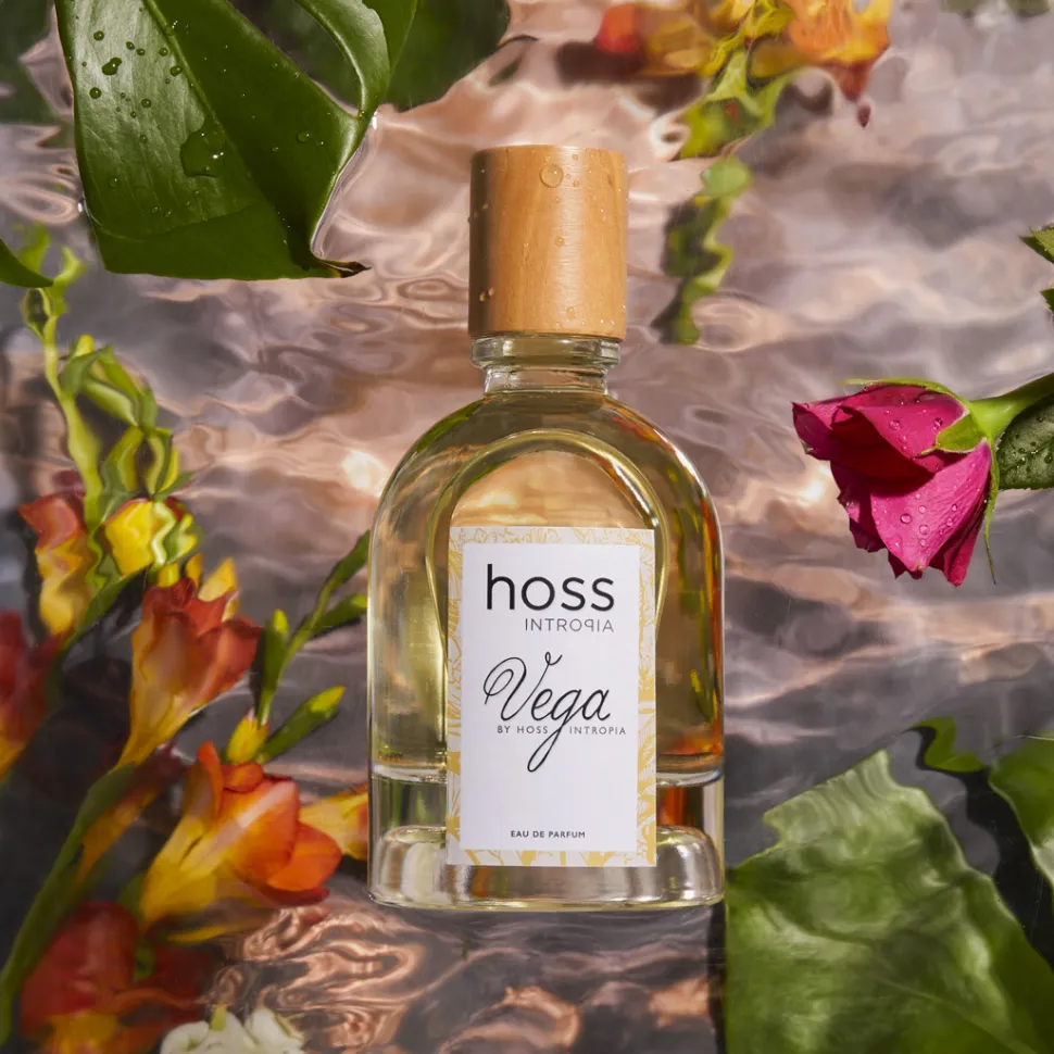 Hoss Intropia