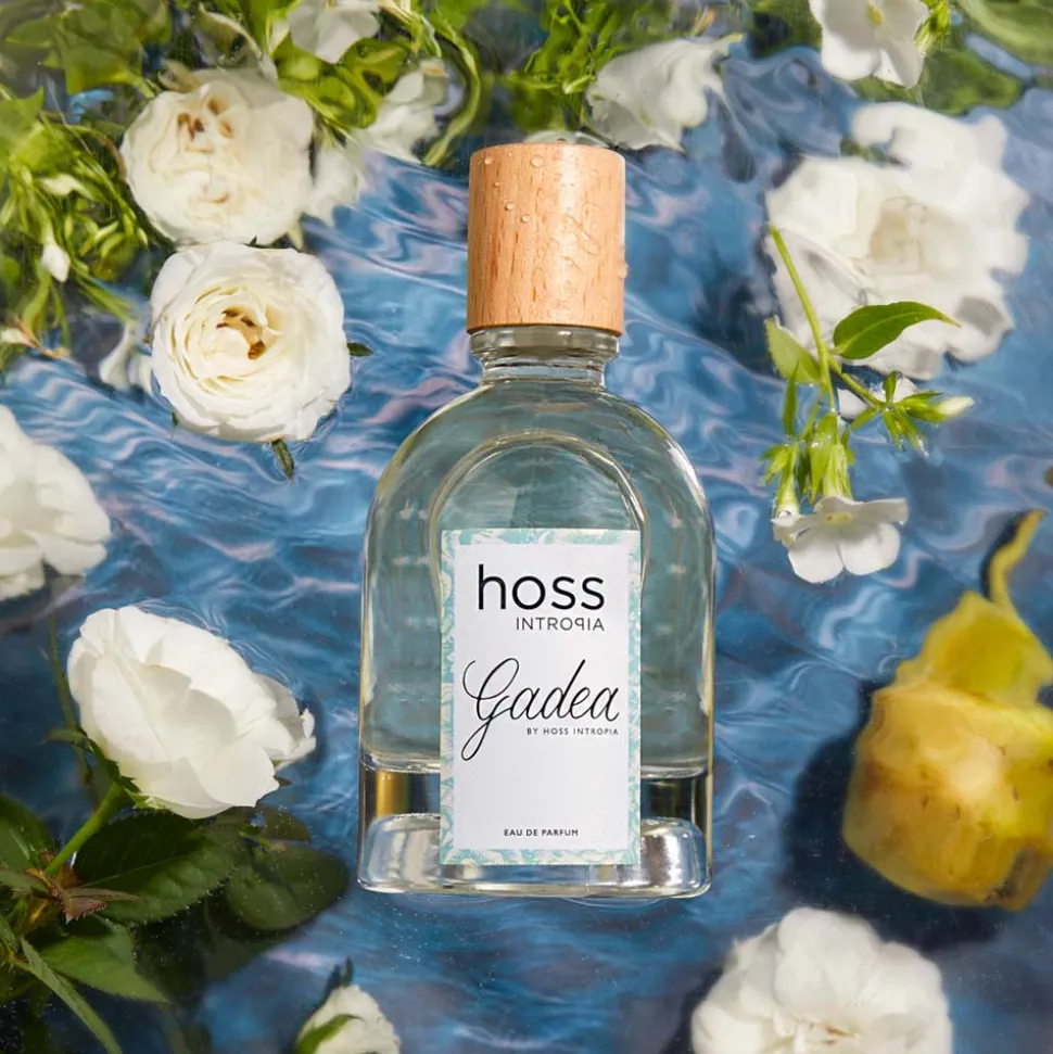 Hoss Intropia
