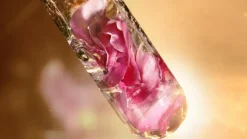 Lancôme