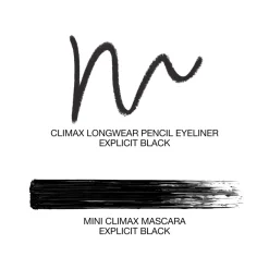 NARS