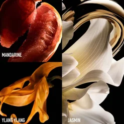 Rabanne