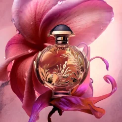Rabanne