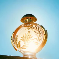 Rabanne