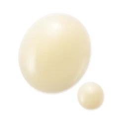 SENSAI