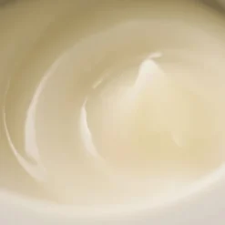 SENSAI
