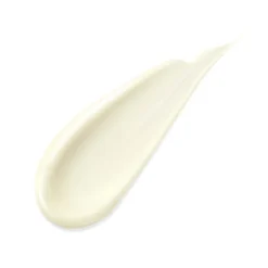 SENSAI