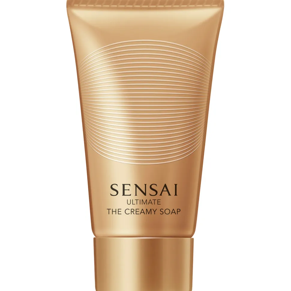 SENSAI