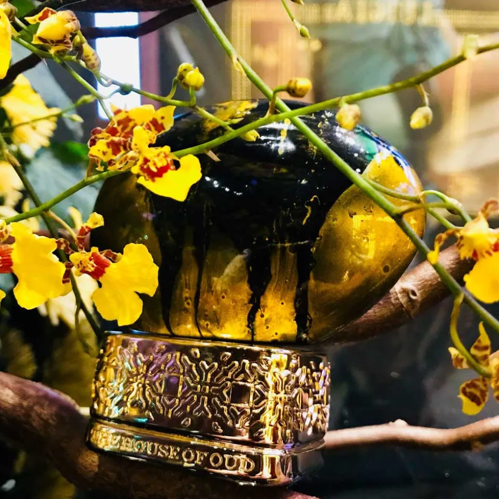 The House of Oud