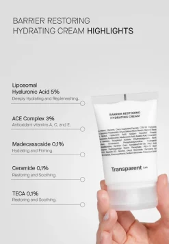 Transparent Lab